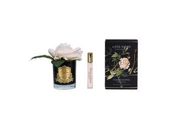 Single Rose - Black Glass - Champagne Pink - GMRB15 (Carton of 4)